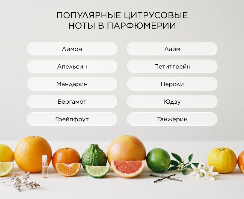 Популярные цитрусовые ноты в парфюмерии