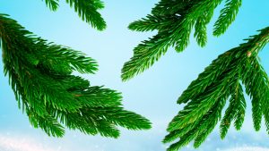 Как украсить ёлку в русском стиле: тренды, идеи, советы и пошаговая инструкция