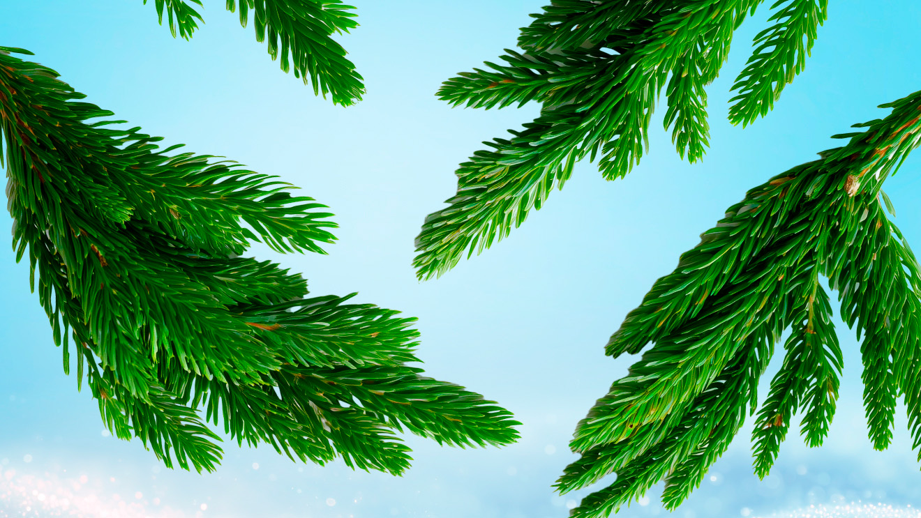 Ёлка в русском стиле: как нарядить и чем украсить