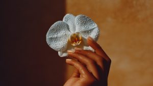 Эксперты вошли в чат: почему интимное омоложение стало трендом и что важно знать