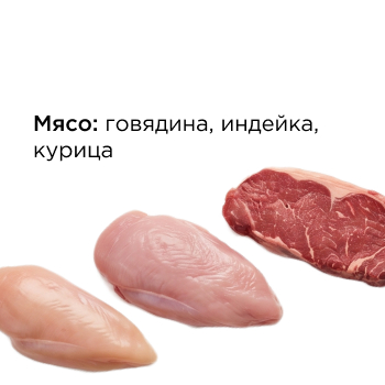 Мясо: говядина, индейка, курица
