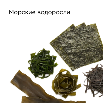 Морские водоросли