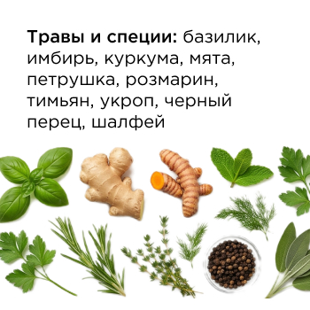 Травы и специи: базилик, имбирь, куркума, мята, петрушка, розмарин, тимьян, укроп, черный перец, шалфей