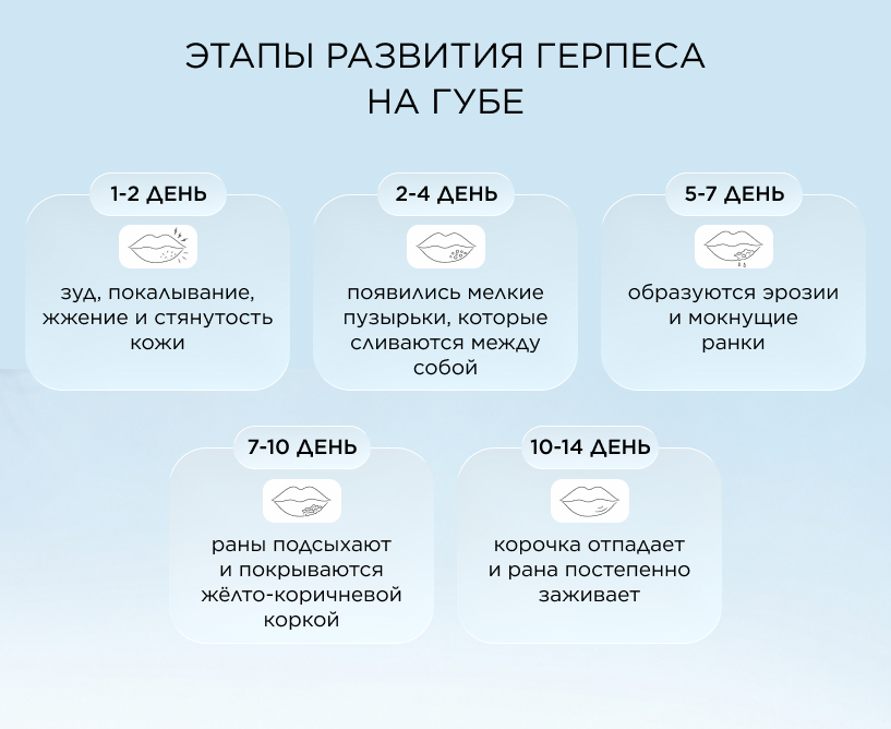 Этапы развития герпеса на губе