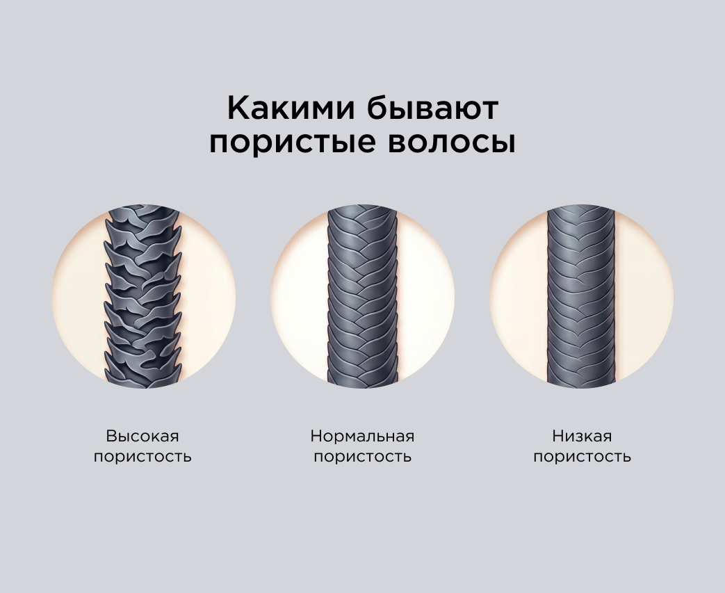 Какими бывают пористые волосы