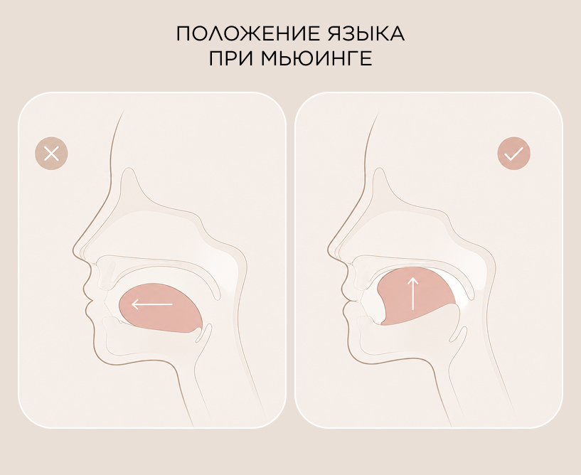 Положение языка при мьюинге