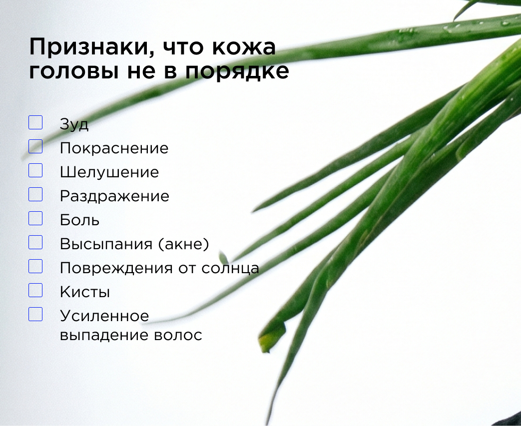 Признаки, что кожа головы не в порядке