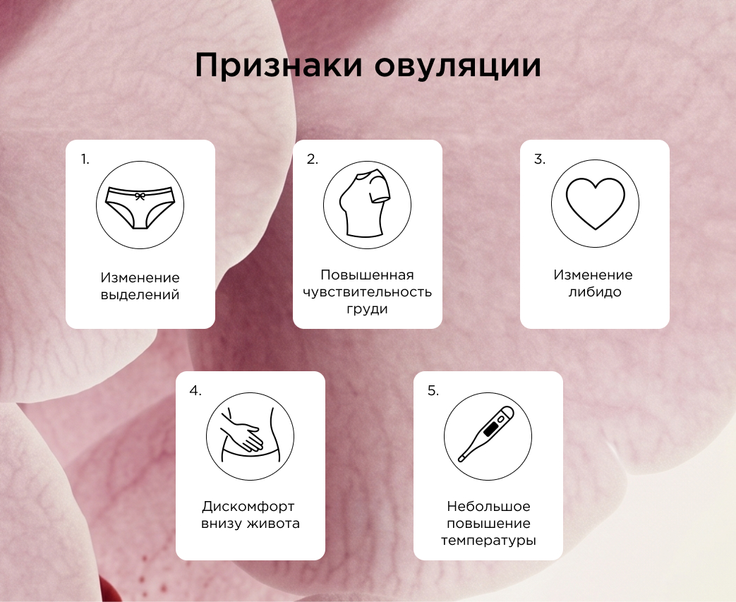 Признаки овуляции