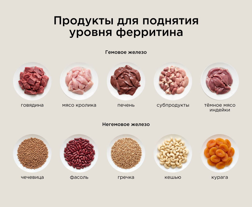 Продукты для поднятия уровня ферритина