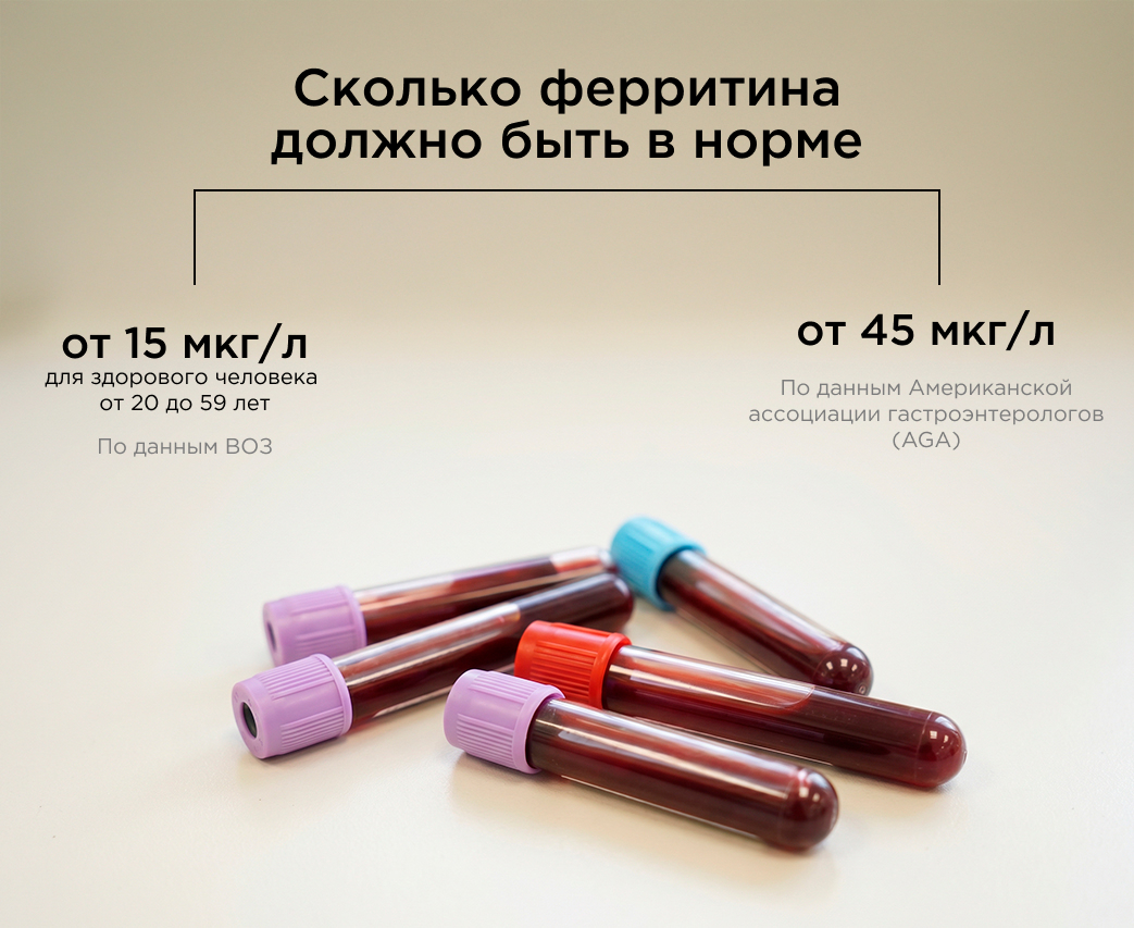 Сколько ферритина должно быть в норме
