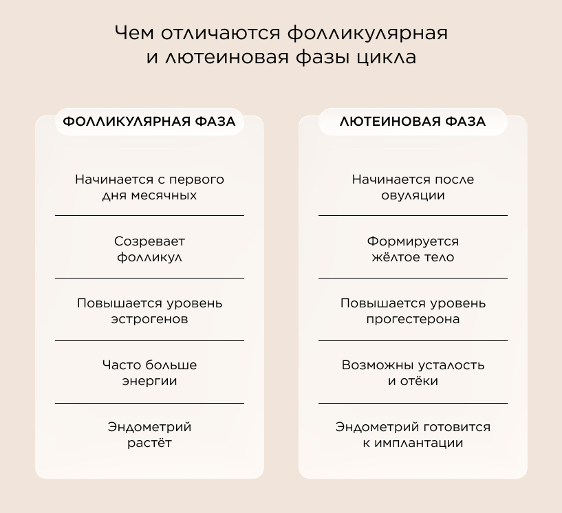 Чем отличаются фолликулярная и лютеиновая фазы цикла