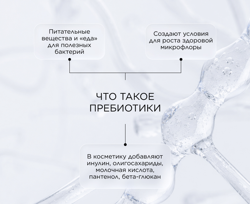  Что такое пребиотики