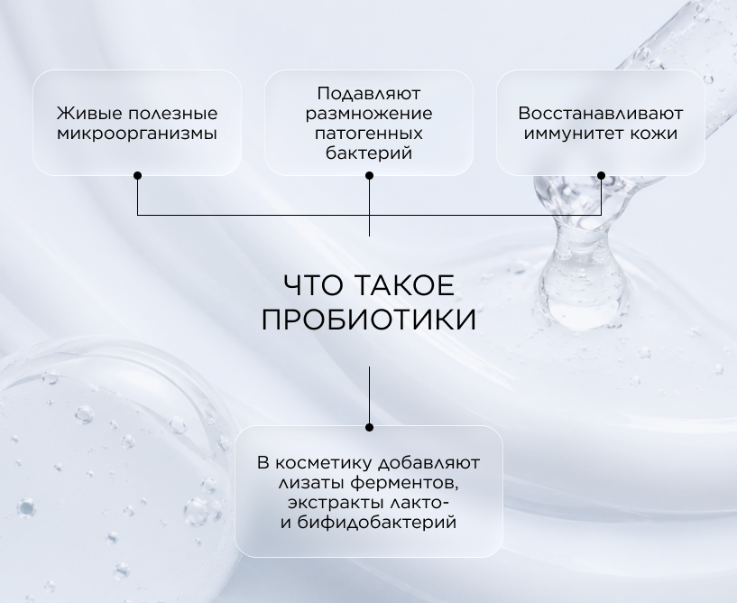  Что такое пробиотики