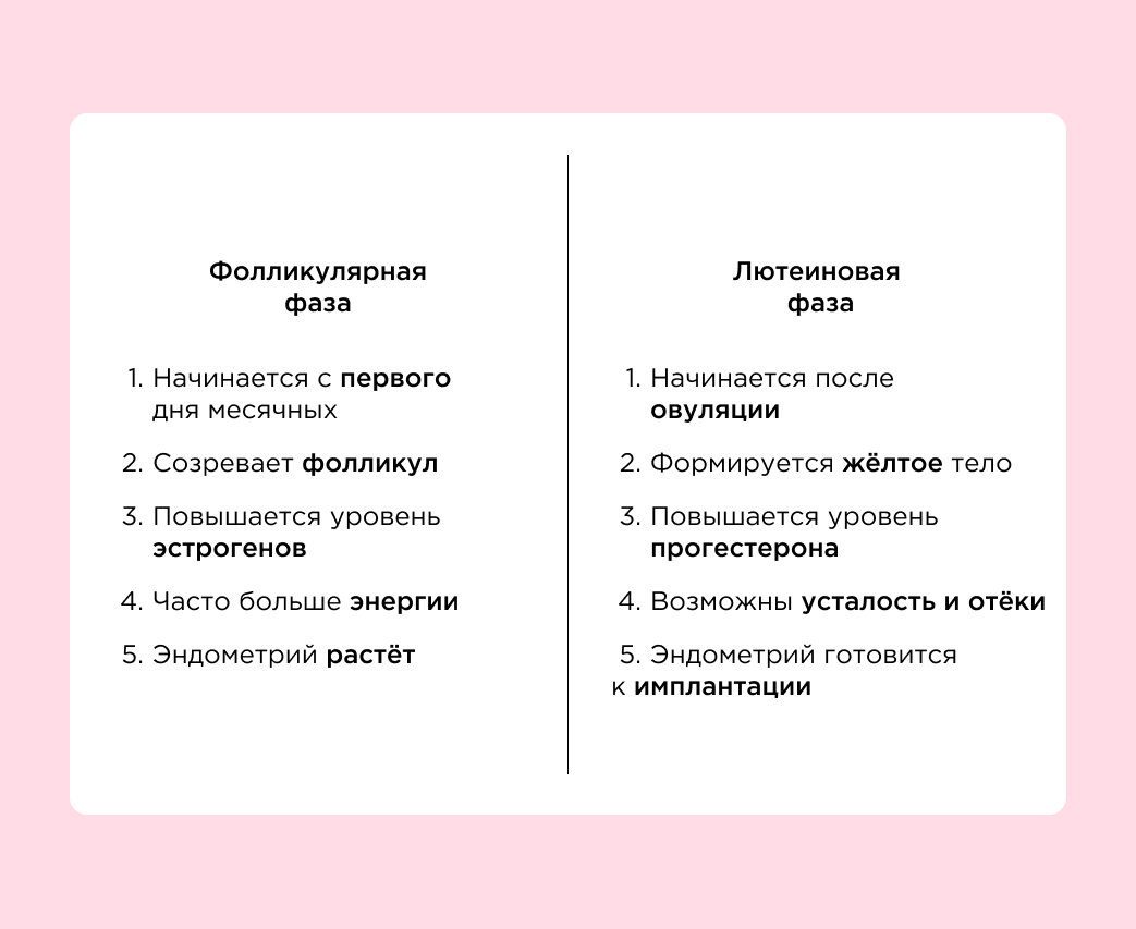 Фолликулярная фаза и лютеиновая