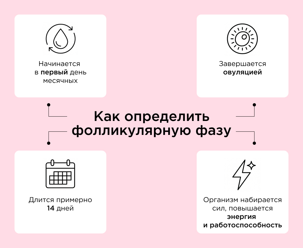 Как определить фолликулярную фазу