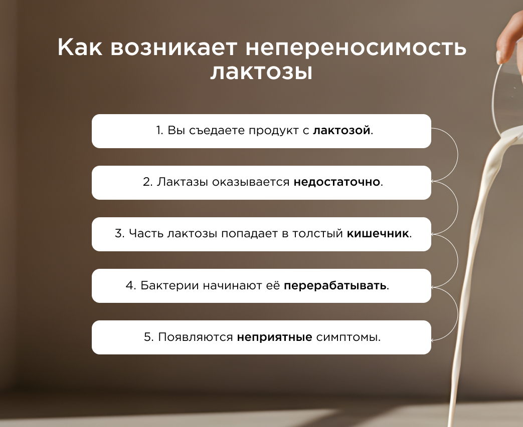 как возникает непереносимость лактозы