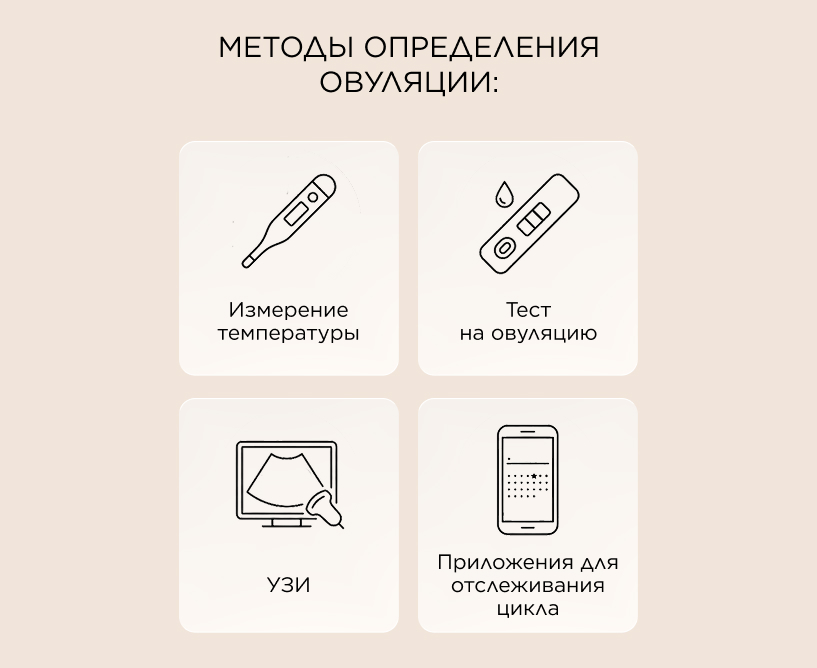 Методы определения овуляции
