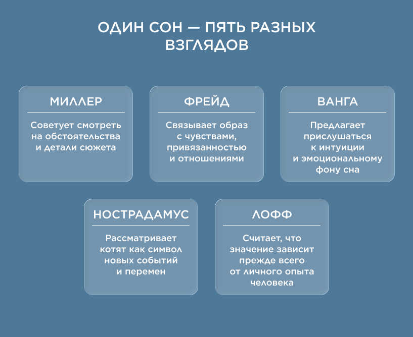 Один сон — пять разных взглядов