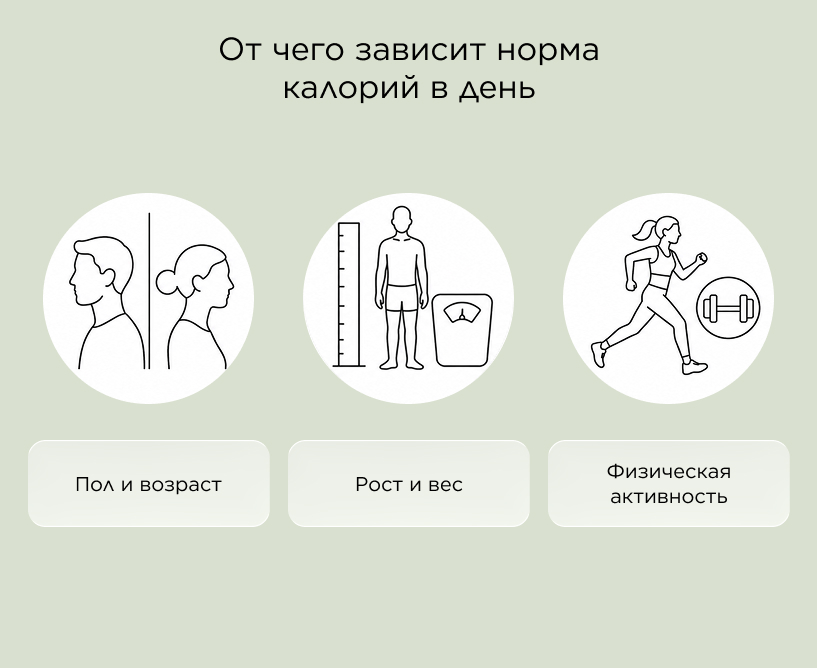От чего зависит норма калорий в день