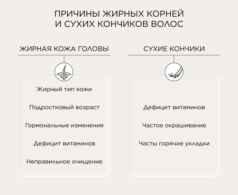 Причины жирных корней и сухих кончиков волос