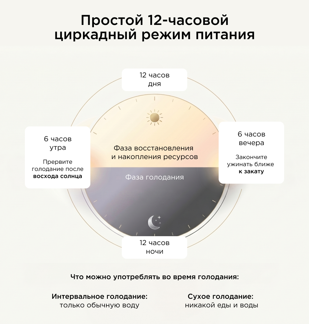 Схема циркадного питания