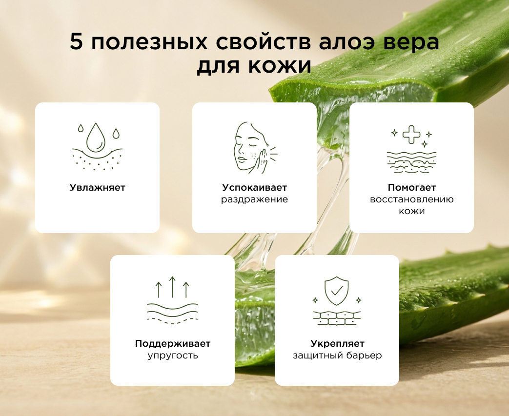 5 полезных свойств алоэ вера для кожи