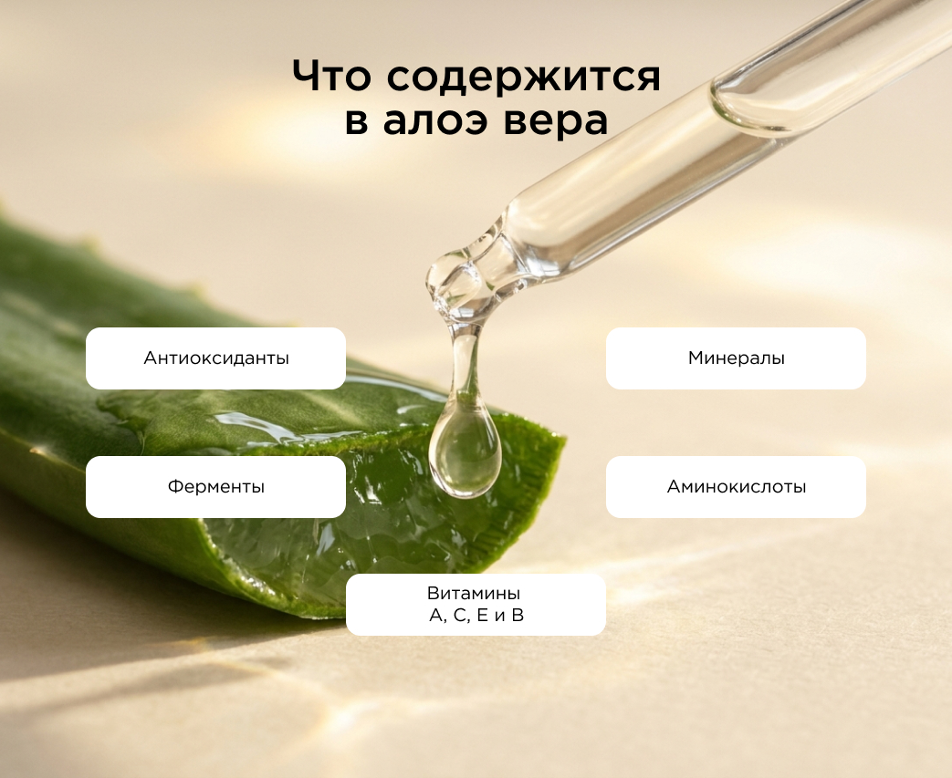 Что содержится в алоэ вера