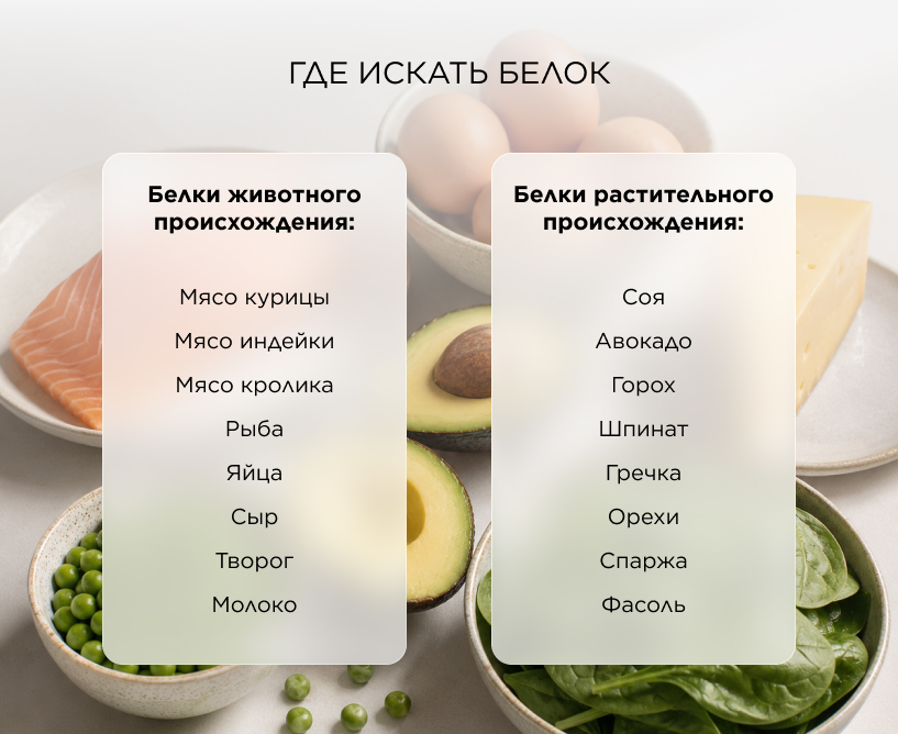 Где содержатся аминокислоты