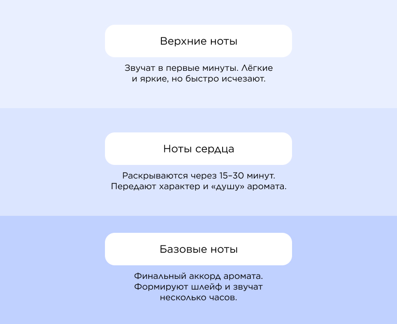 ИНФОГРАФИКА Как раскрываются духи на коже