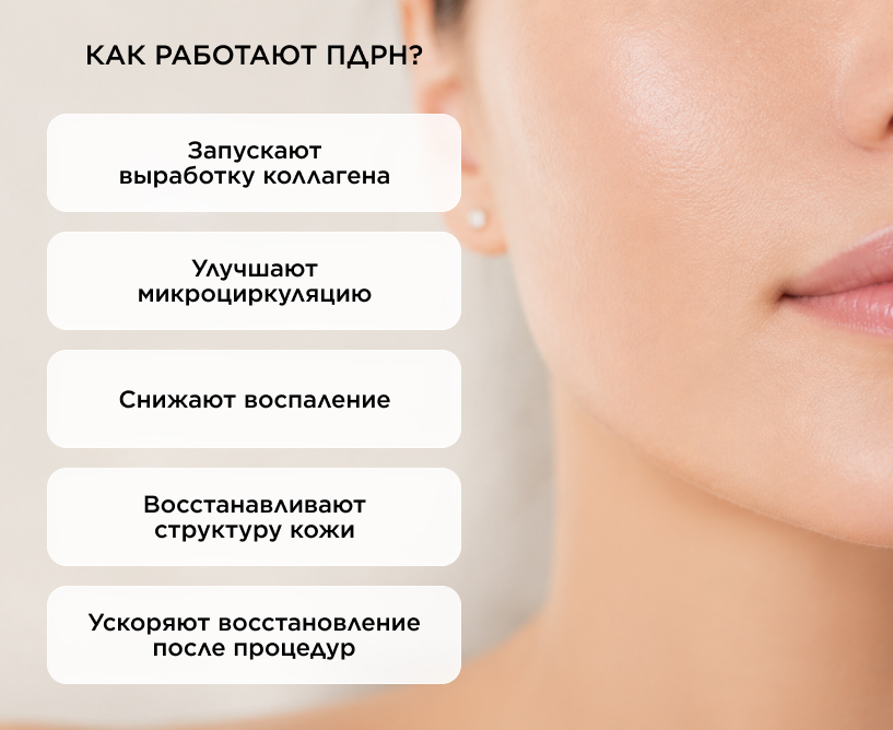 Каков механизм действия ПДРН?