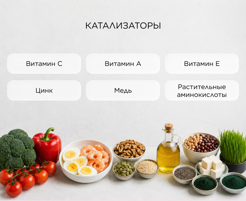 Катализаторы: почему без витамина С никуда
