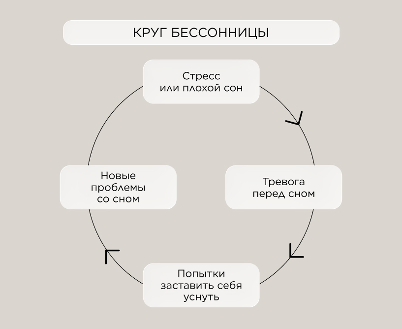Круг бессонницы