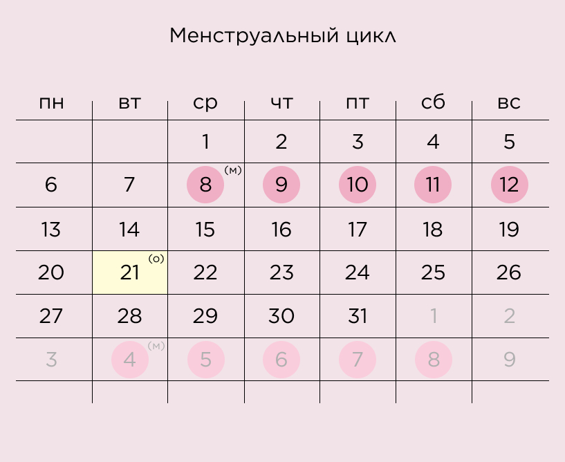 Менструальный цикл