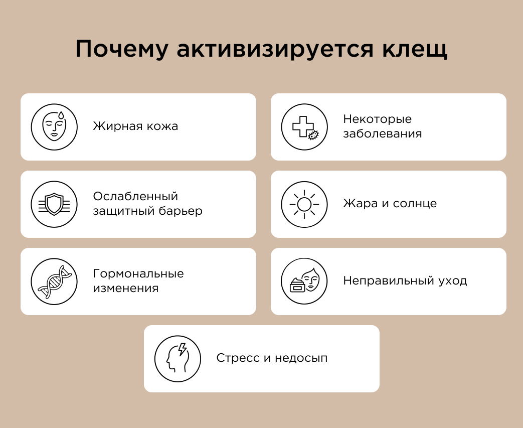 Почему активизируется клещ