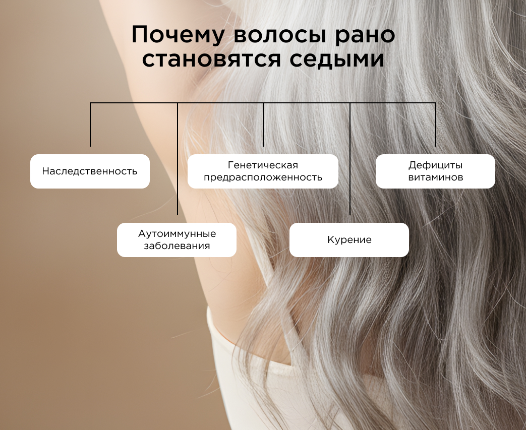 Почему волосы рано становятся седымиинфографика