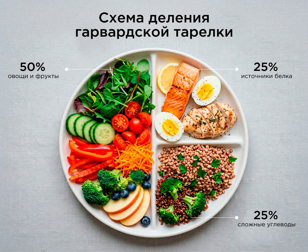 Схема деления гарвардской тарелки