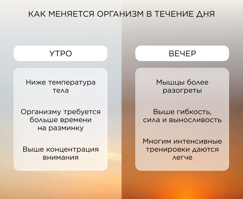 Как меняется организм в течение дня