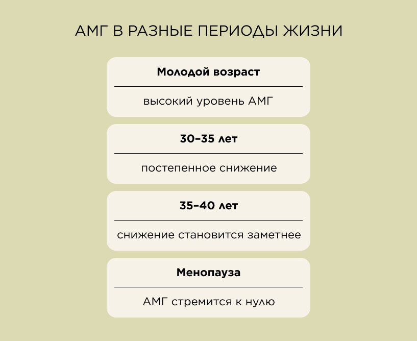 АМГ в разные периоды жизни