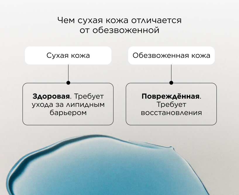 Чем сухая кожа отличается от обезвоженной
