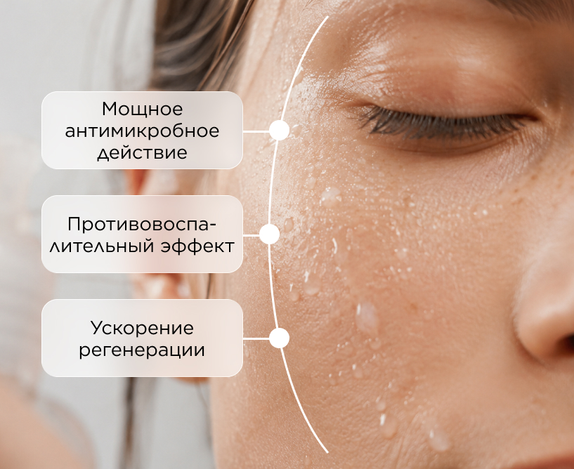 Инфографика