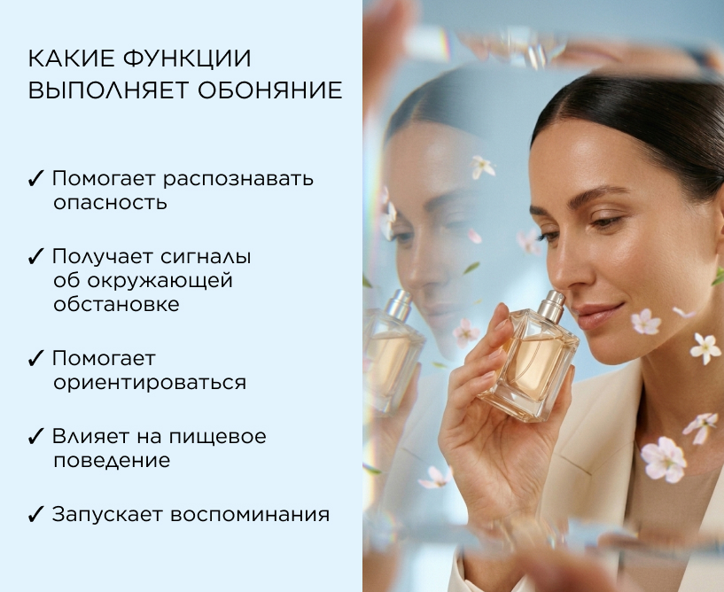 Какие функции выполняет обоняние