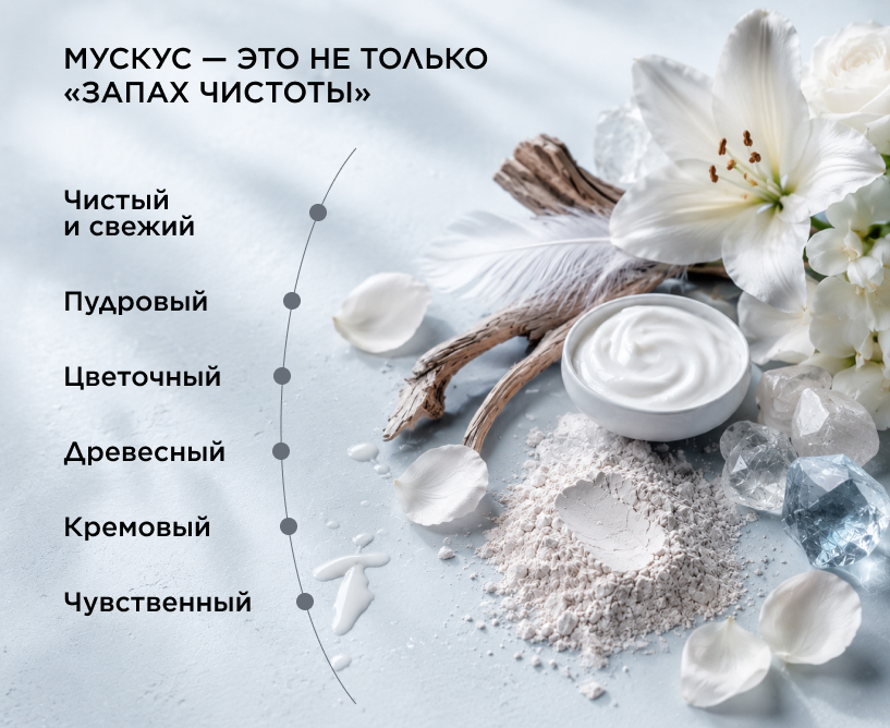 Каким бывает мускус