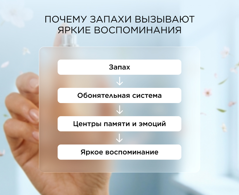 Почему запахи вызывают яркие воспоминания