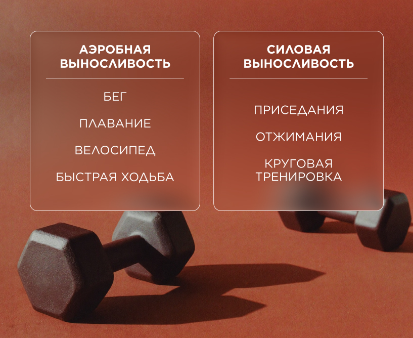 Аэробная и силовая выносливость