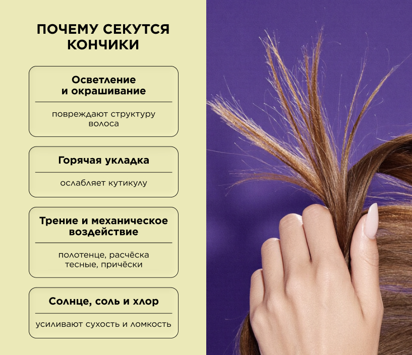 Почему секутся кончики
