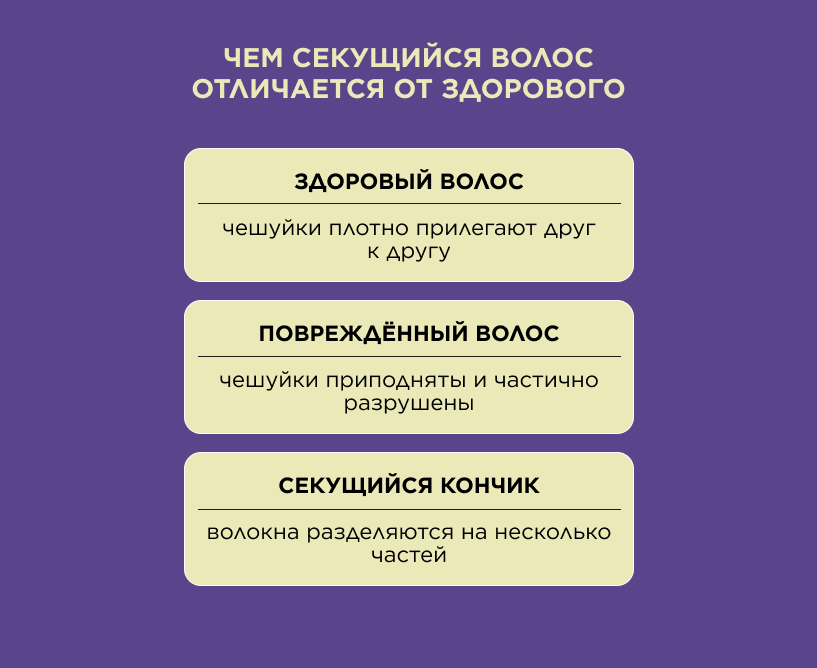 Чем секущийся волос отличается от здорового
