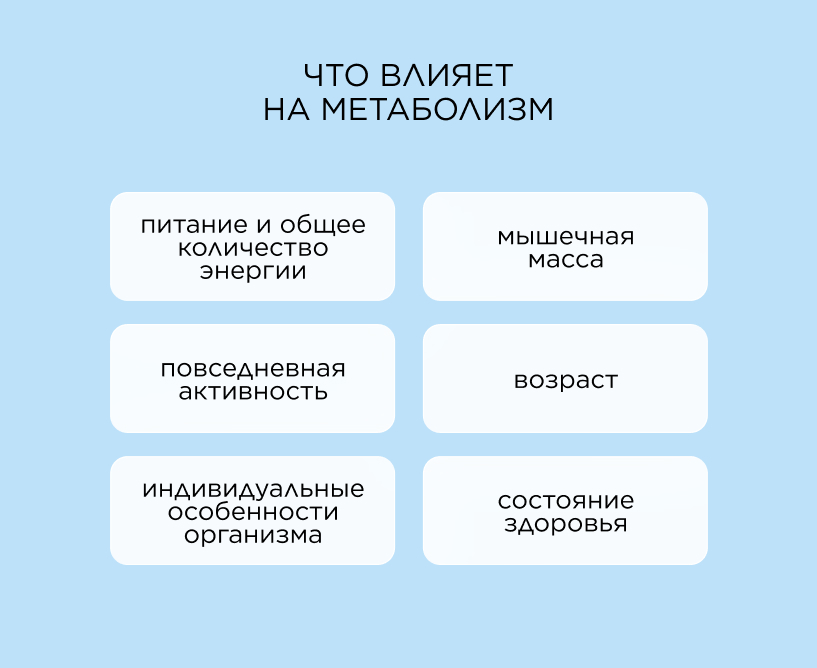 Что влияет на метаболизм