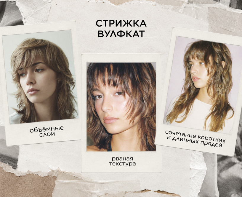 Стрижка «волчица», вулфкат, инфографика