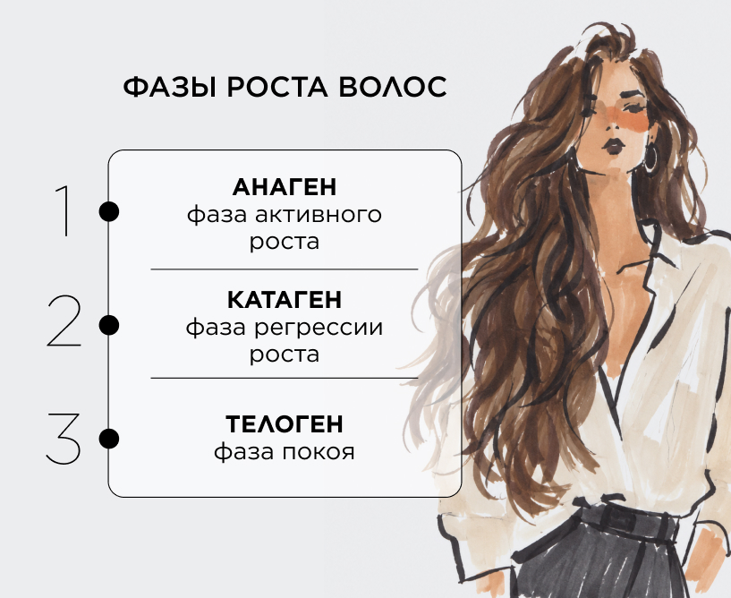Фазы роста волос