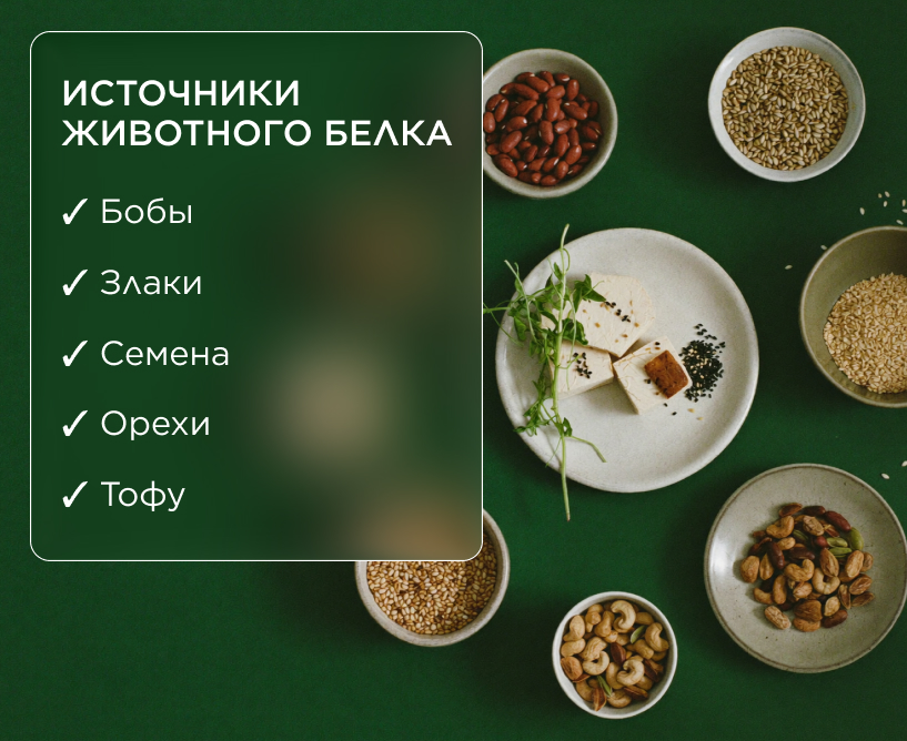 Источники растительного белка